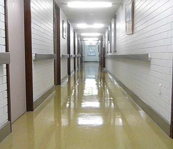 Home Care Services North Brisbane, Window Cleaning Brendale, Medicale Centre Cleans Elimbah, Industrial Cleaning Burpengary, Office Cleaning Morayfield, Floor Cleaning North Brisbane