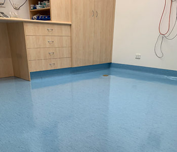 Cleaner Hire North Brisbane, Commercial Cleaning Brendale, School Cleaning Wamuran, Vinyl Floor Sealing Caboolture, Industrial Cleaning Moorina